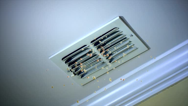 Best Air Duct Cleaning Near Me  in Lakeshire, MO