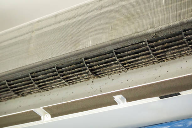 Best HVAC Duct Inspection Services  in Lakeshire, MO